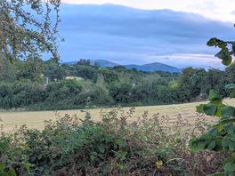 View through gap in hedge.