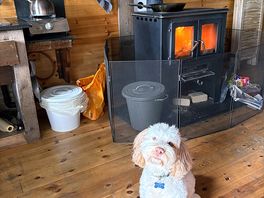 Toasty warm by the log burner.