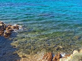 Traum wasser
