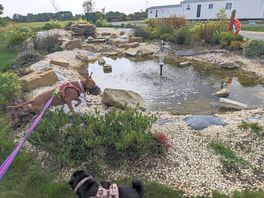 Nice walks around campsite, very dog friendly