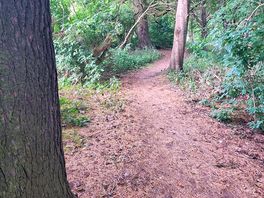 The walk to the river.