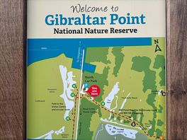 Gibraltar point
