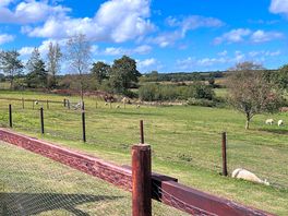 View from the garden