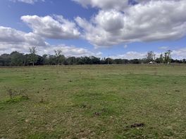The field looking towards the Bluebell Railway
