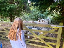 Loved the neighbours