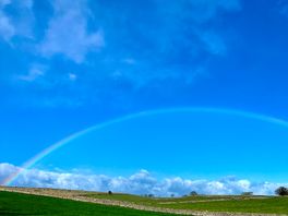 Blustery walk with added beauty