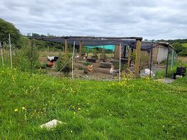 Cluckingham palace