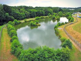 Grass pitches by lakes