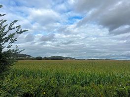The behind view of our pitch overlooking one of the biggest fields in the uk.