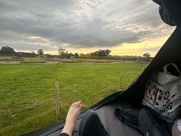 View over the field.