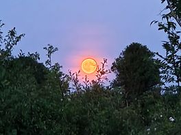 Full moon