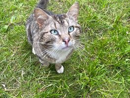 Friendly little neighbour