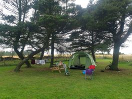 Camp site is where / how you want it!