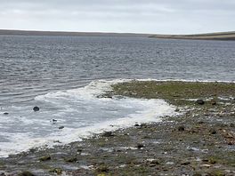 View along east fleet