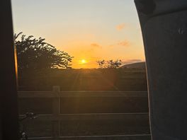 🌅 sunsets 😍