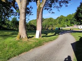 Further camping area