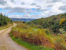 Looking down the valley towards pateley bridge