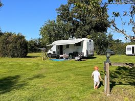 Our pitch