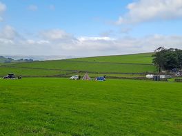 Top field