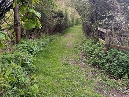 Lovely walk around the site
