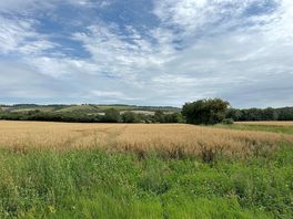 Walking views