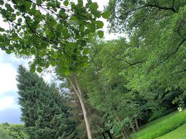 Beautiful grounds