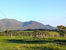 Park bench with views of the sheep