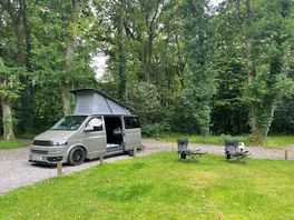 Camping in woodland
