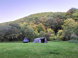 Our pitch