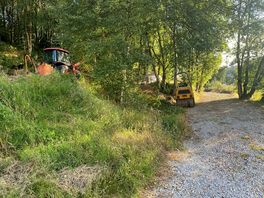 Privacy of backpackers woodland pitch