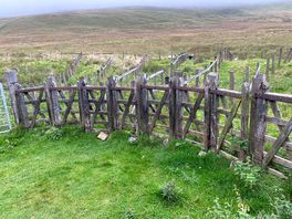 Fell sheep pens