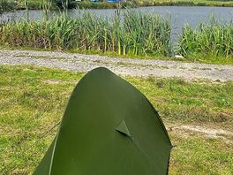 Pond