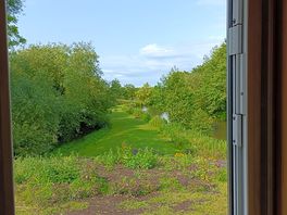 Room with a view