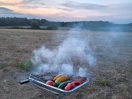 Bbq