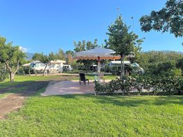 General view of the site