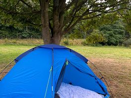 Loved staying under the tree :)
