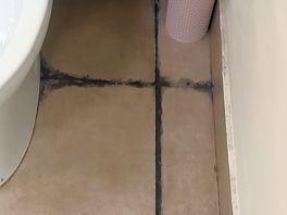 Dirt around toilet
