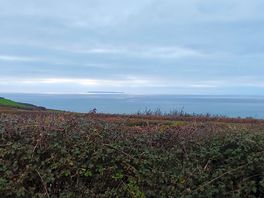 View from the transverse bed in our van