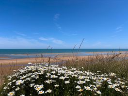 Dog friendly stretch of omaha beach all year round