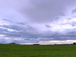 Field