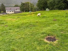 View from lower field camp, had some locals come say hello