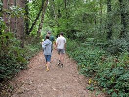 Walking in the woods