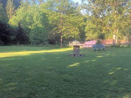 Dog park