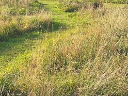 Bell tents