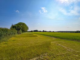 Pitches are separated by strips of long grass