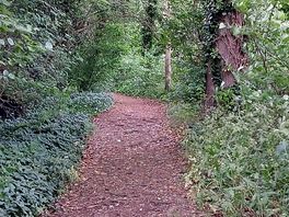 Walk