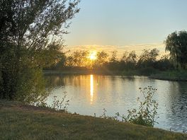 On site lake at sunset
