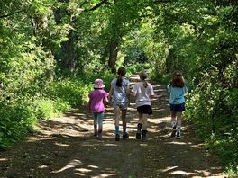 Walking down one of the local tracks