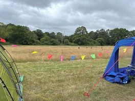 More field….tons of space.