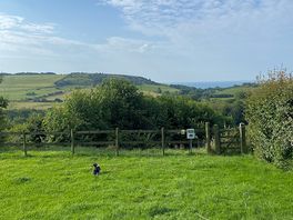 View from our pitch
